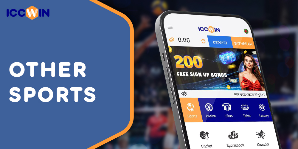 Full list of sports featured on ICCWIN and available for betting