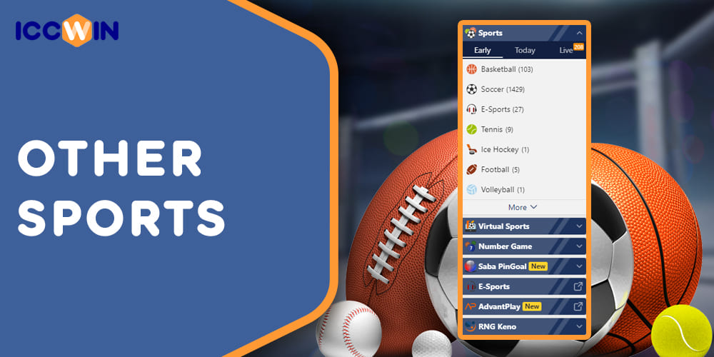What sports Indian betting fans can bet on on ICCWIN 