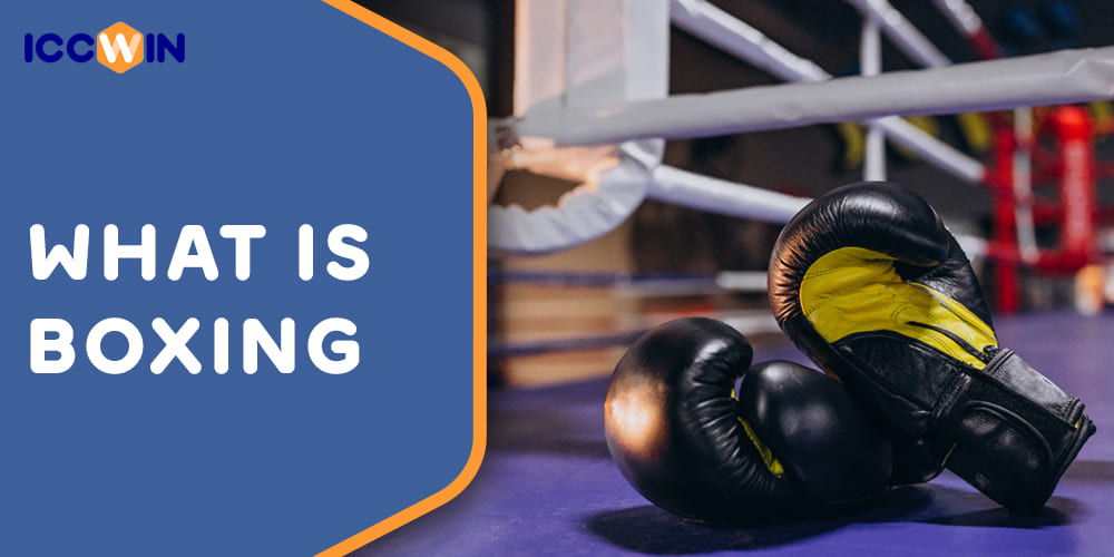 Features of boxing as a sport for betting on ICCWIN 