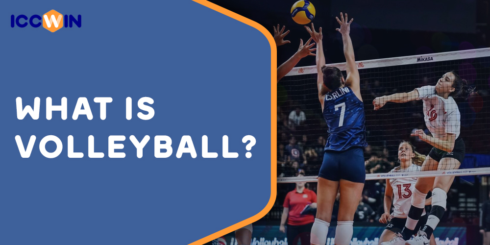 Features of volleyball as a sport available for betting